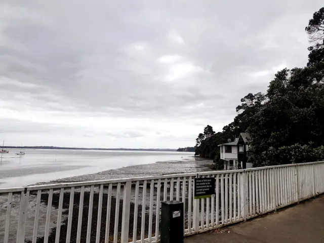 Freedom Camping Cox's Bay Reserve