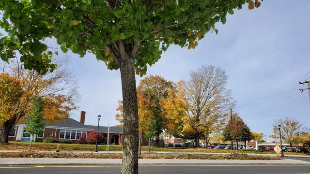 Storrs Winter Farmers Market