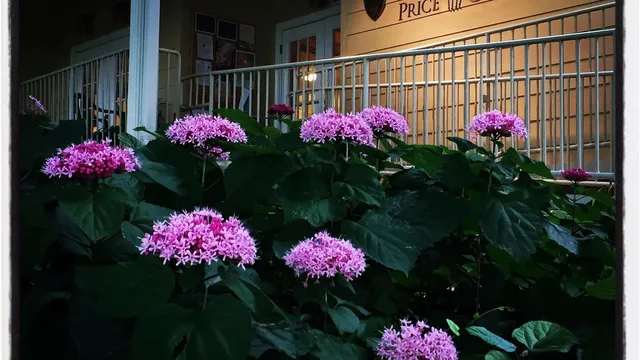 Price Center & Garden