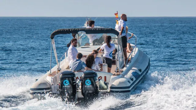 Tenerife Whale Watching | Atlantic Eco Experience