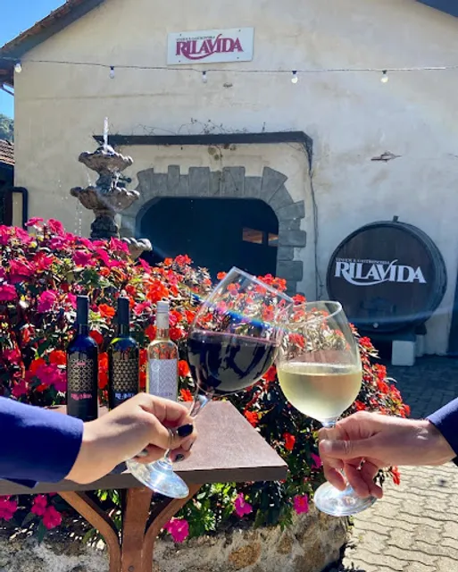 Vinhos RilaVida
