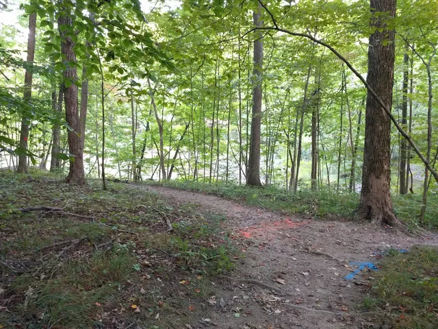 Rocks and Roots Trail Trailhead