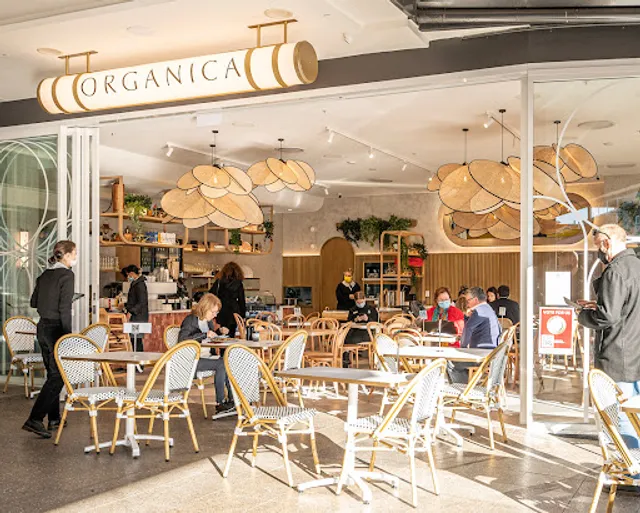 Organica - Cafe in Leichhardt