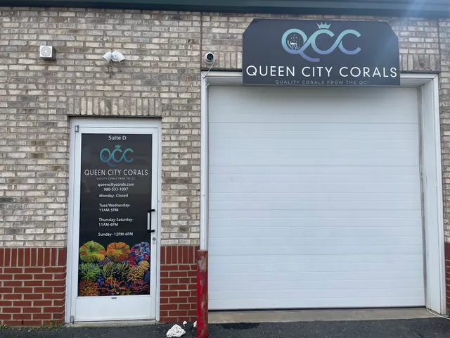 Queen City Corals