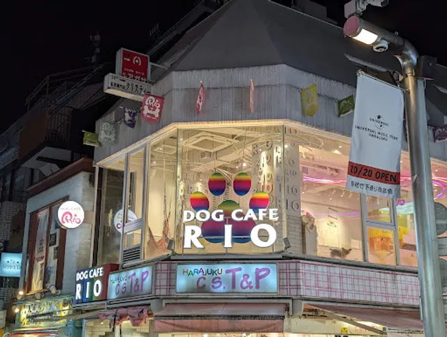 Dog Cafe RIO