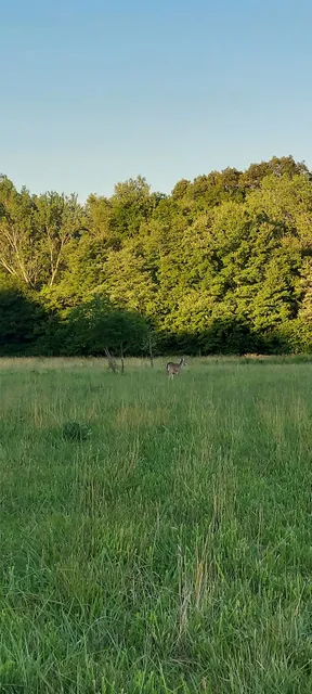 East Park Sunrise Rotary Disc Golf Course