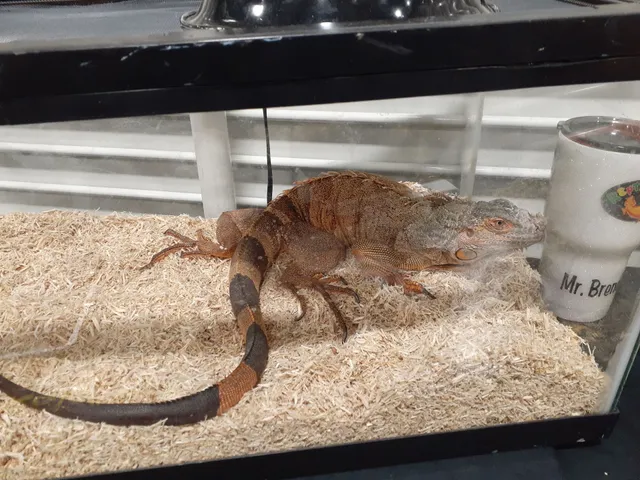 Nashville Expo Center