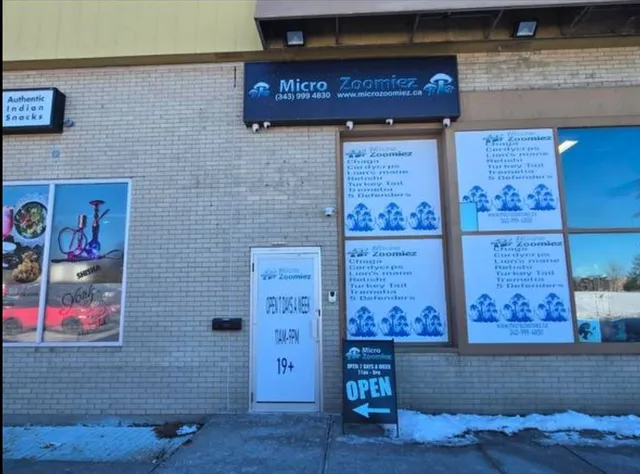 MicroZoomiez Toronto Magic Mushroom Dispensary 🍄