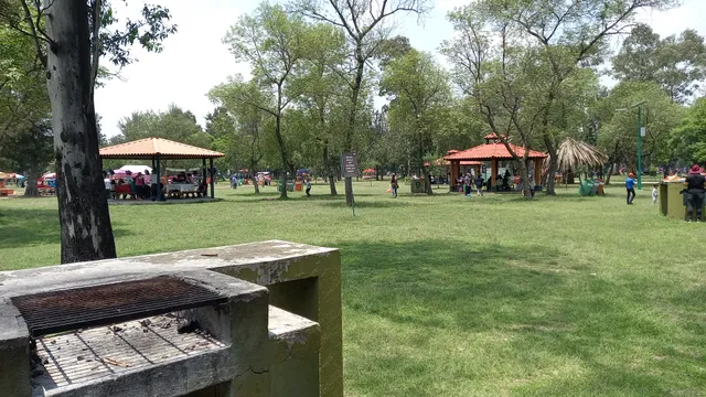 Área de Palapas - Bosque de San Juan de Aragón