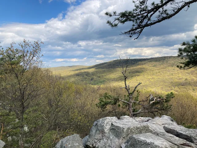 White Rocks - Rock Climbing and Bouldering Area