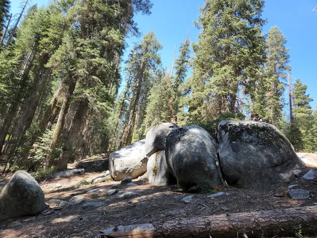 Cove Group Campground