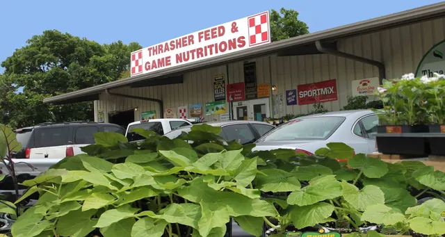 Thrashers Feed and Supply