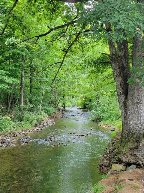 Lurgan Township Lions Club Park