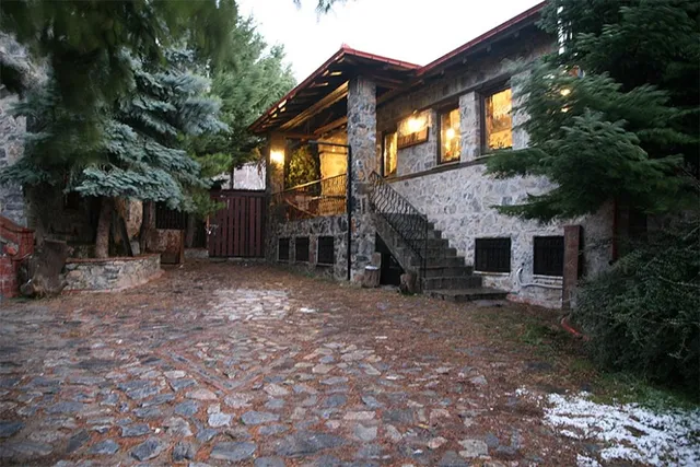 ΑΡΧΟΝΤΙΚΟ ΚΟΖΙΑΚAΣ