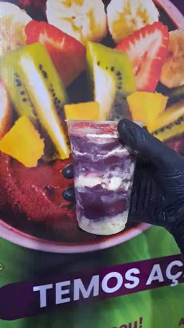 A grande familia Açai