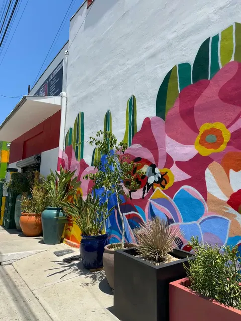 Garden Outlet Tijuana