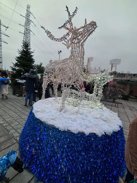 photo-3