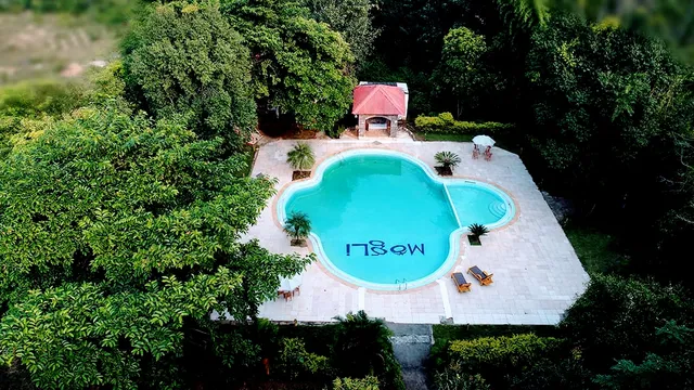 Mogli Jungle Resort