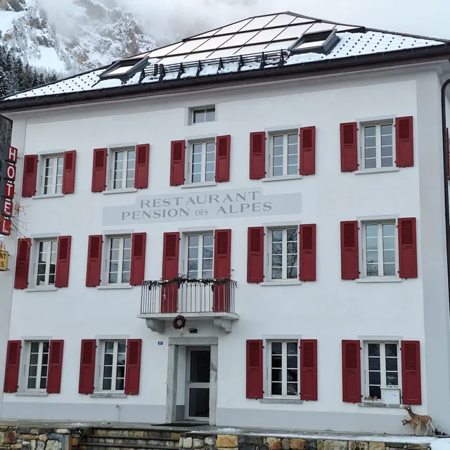 Hotel Des Alpes
