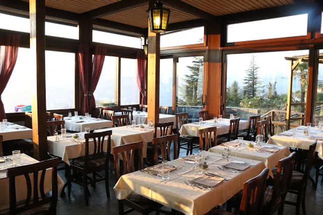 Ristorante Piccolo Vigneto