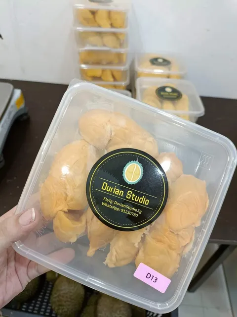 Durian Studio Sg