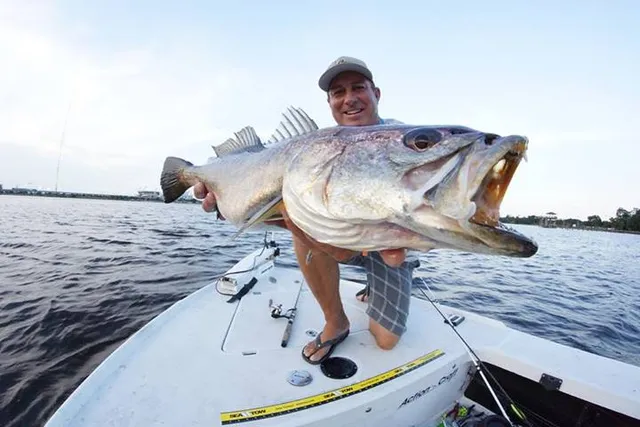 Jacksonville Fishing Trips