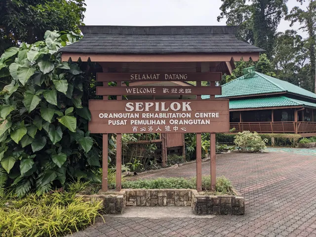 Pusat Pemulihan Orangutan Sepilok