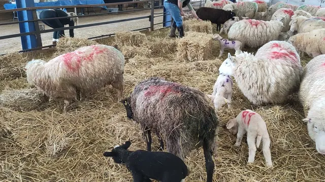 Martinsfield Farm Cottage