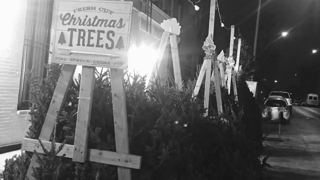 Greenpoint Christmas Trees