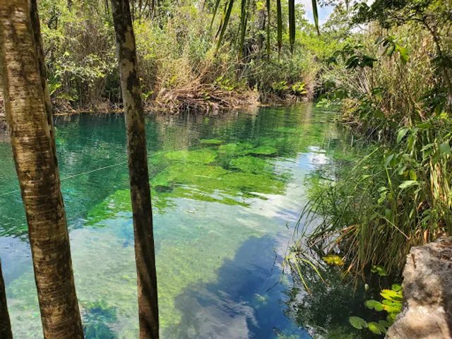 Cenote Cristal