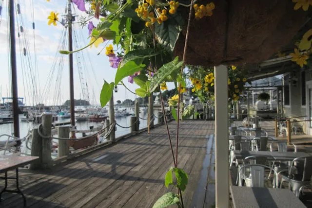 Peter Ott's on the Water