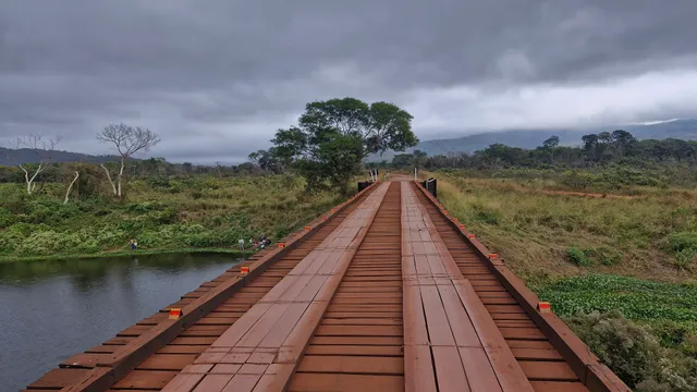 Estrada Parque Pantanal - Mato Grosso do Sul.