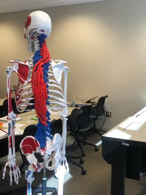 T. P. Bodywork, PLLC