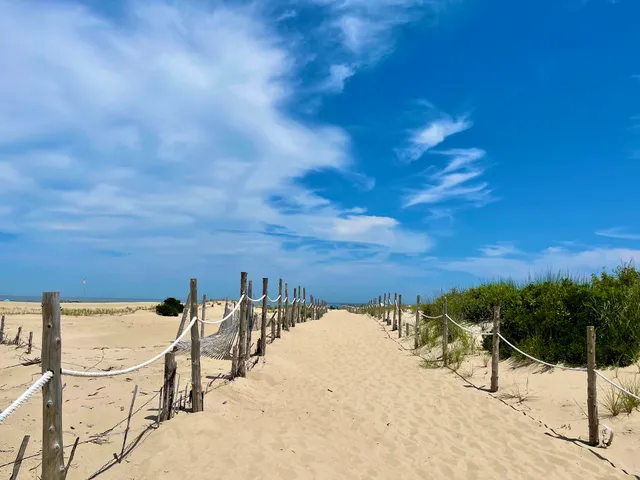 Cape Henlopen State Park Beach