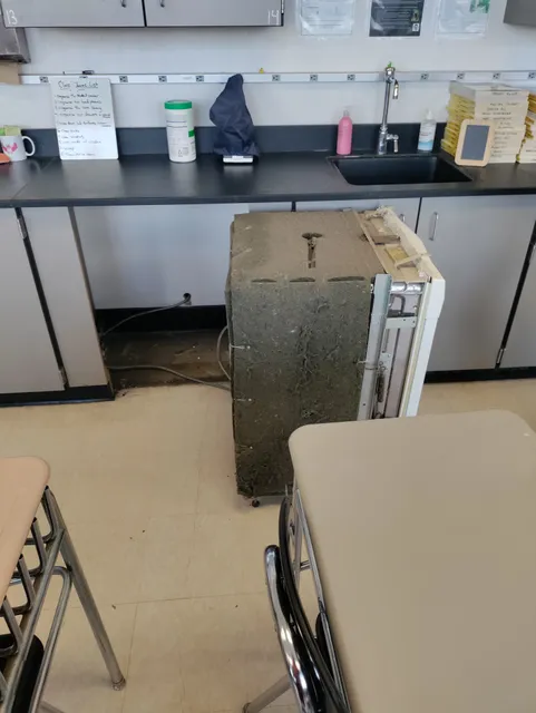 MS 355 Collaborative Arts Middle School (CAMS)