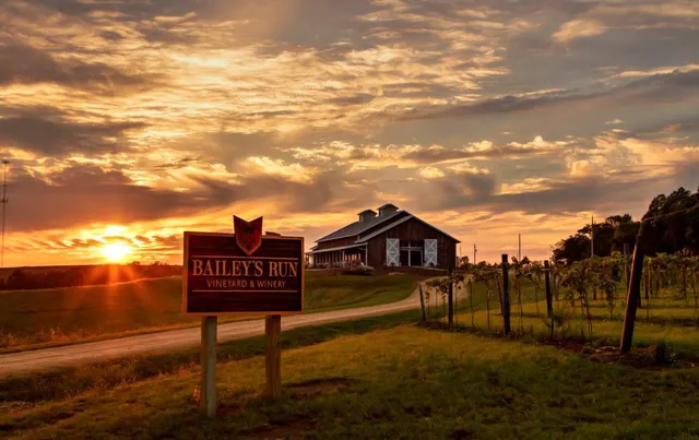 Bailey's Run Vineyard & Winery