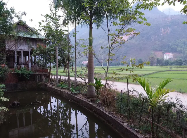 Khách sạn Mai Châu Ecohouse