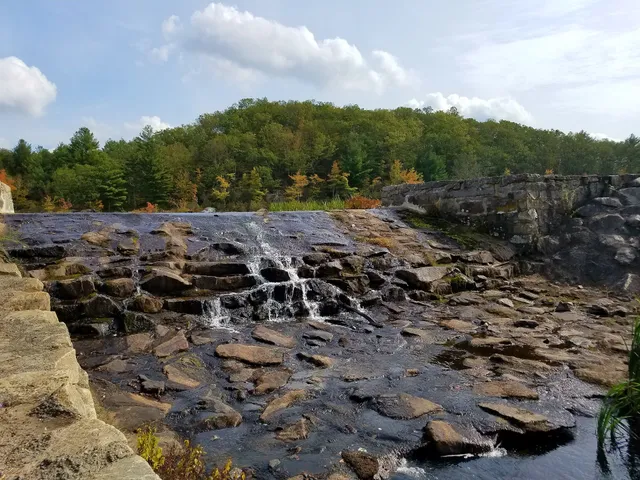 Sterling Playground, no pets allowed. (Including dogs)