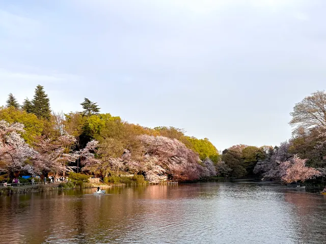 Inokashira Pond
