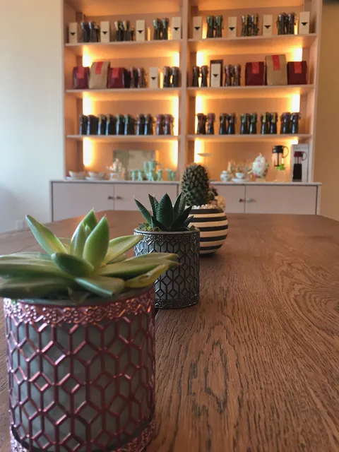 Fusion 36° - Copperfield (Hwy6/529)