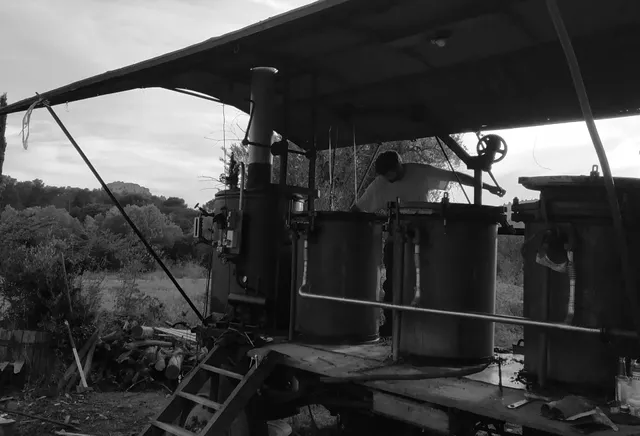 Distillerie de la Terre Ronde