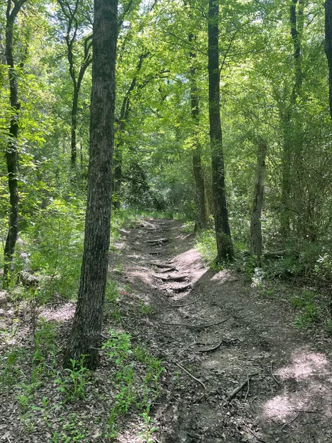 Cedar Mountain Trail