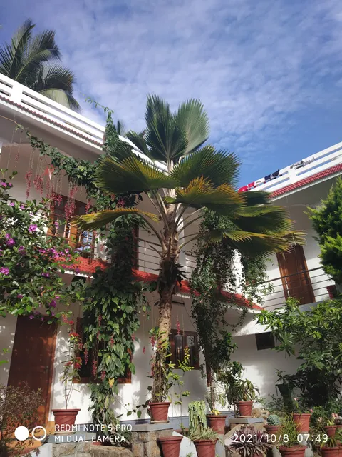 Marayoor Travellonge