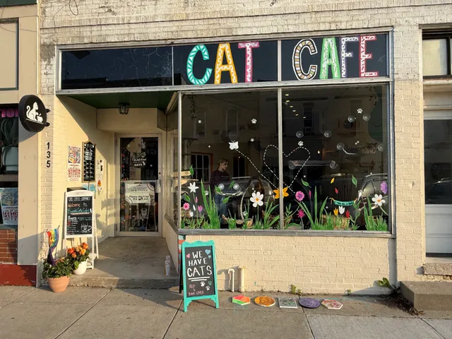 BaristaCats Café & Sanctuary for Wayward Cats