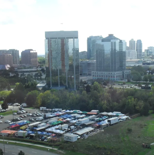 Lions Farmers Market