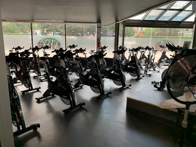 New York Sports Club