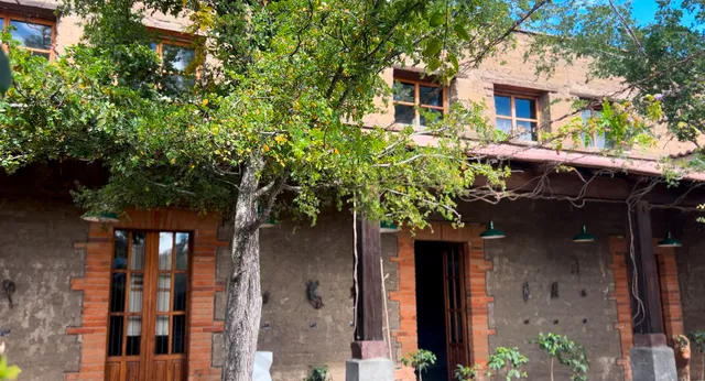 Galería Pedro Ávila