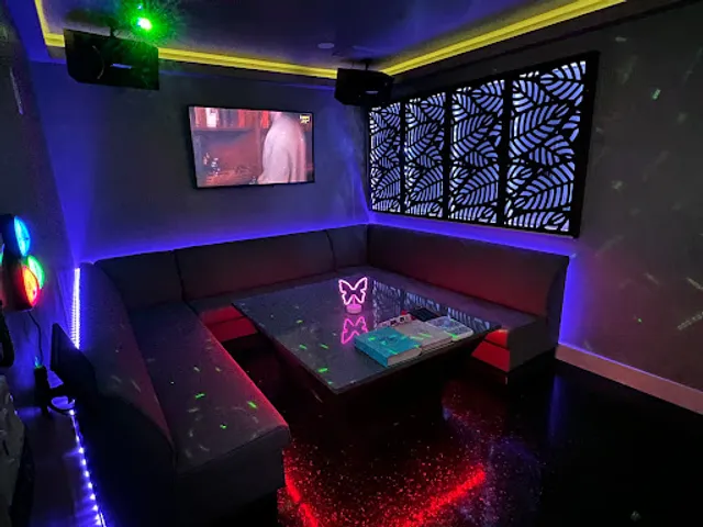 Singing Karaoke Club