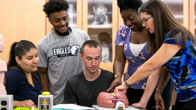 Saint Elizabeth University