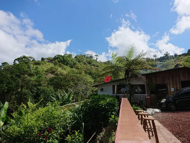 Soda De Madera y Maíz